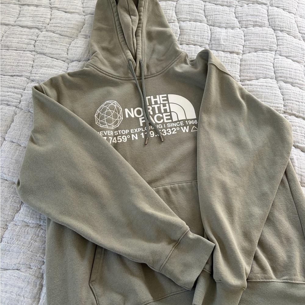 The North Face Limited Time Sage Green Dome Hoodie